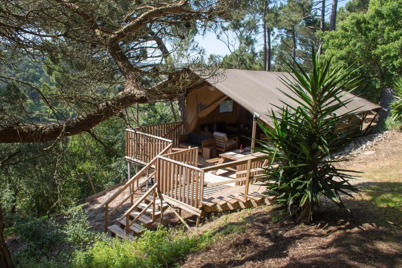 Quinta Japonesa Bed & Breakfast Carvalhal Bemfeito Luaran gambar