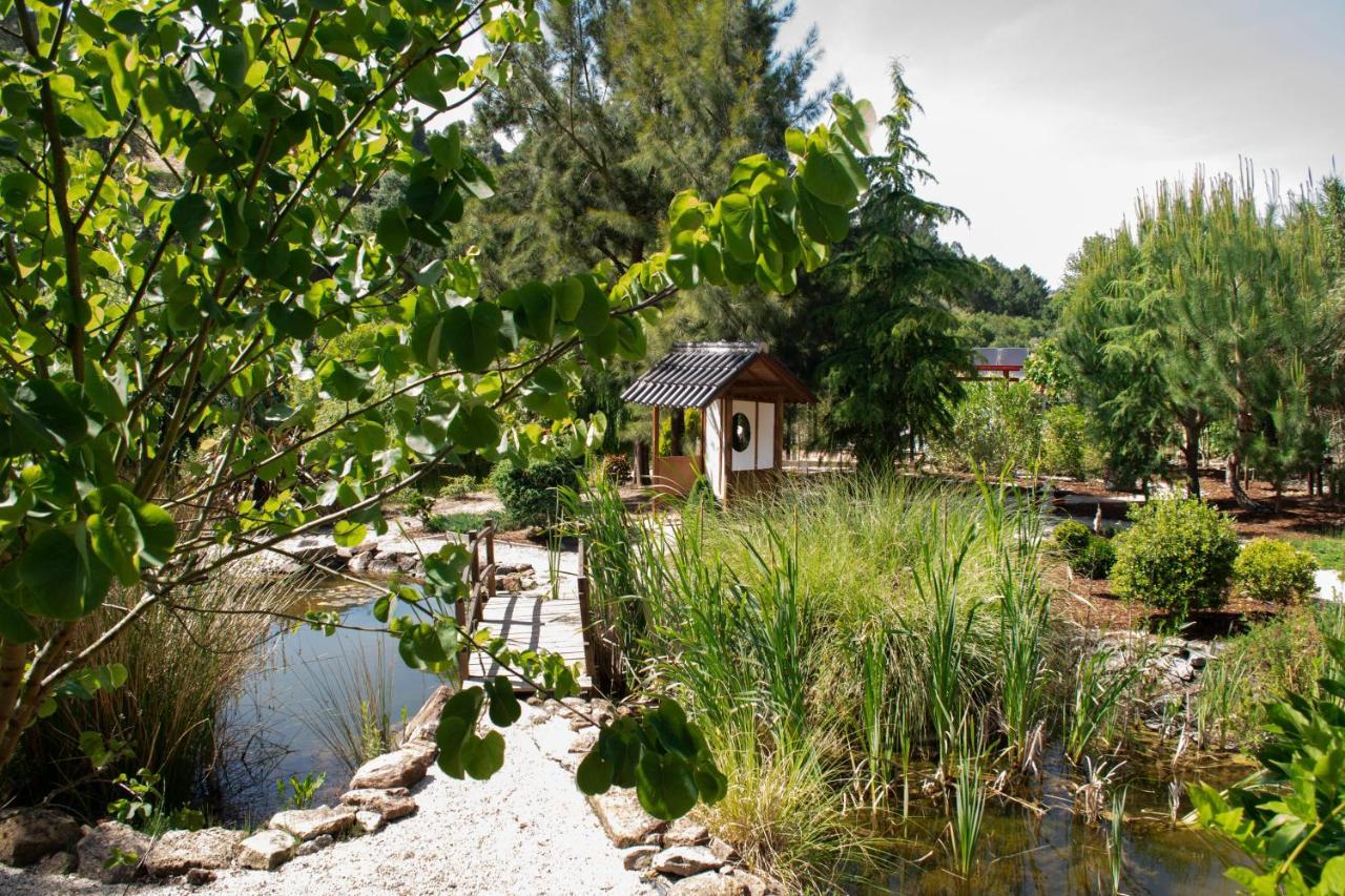 Quinta Japonesa Bed & Breakfast Carvalhal Bemfeito Luaran gambar