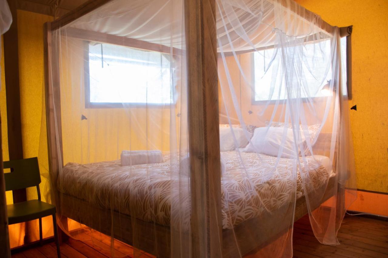 Quinta Japonesa Bed & Breakfast Carvalhal Bemfeito Luaran gambar