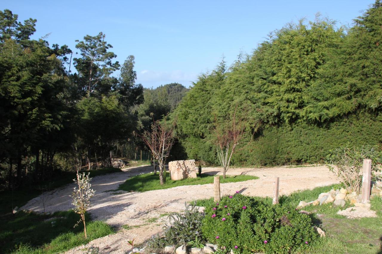 Quinta Japonesa Bed & Breakfast Carvalhal Bemfeito Luaran gambar