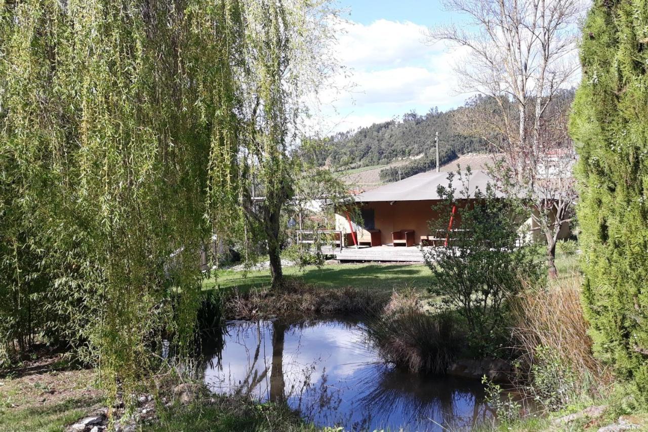 Quinta Japonesa Bed & Breakfast Carvalhal Bemfeito Luaran gambar