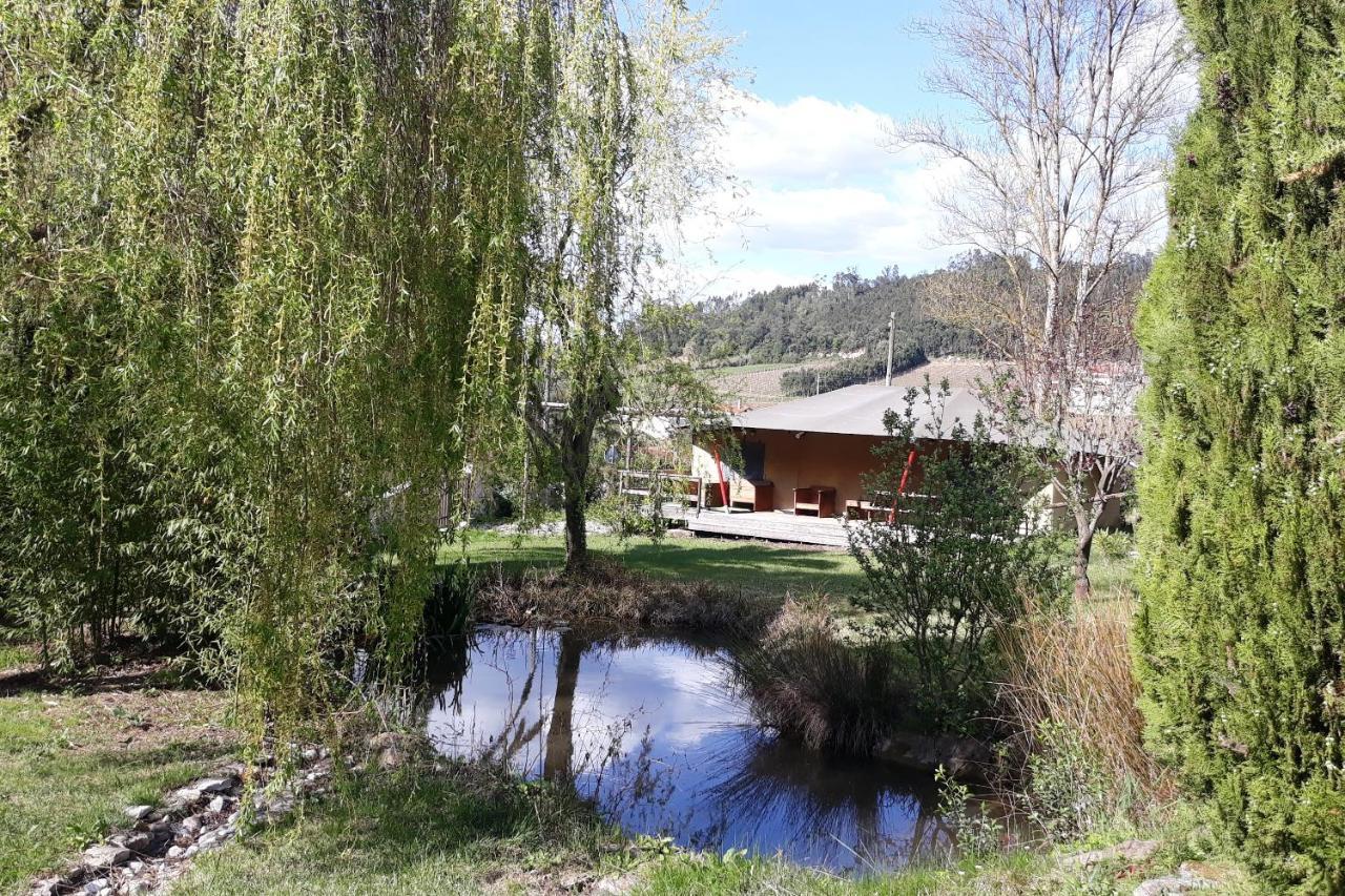 Quinta Japonesa Bed & Breakfast Carvalhal Bemfeito Luaran gambar