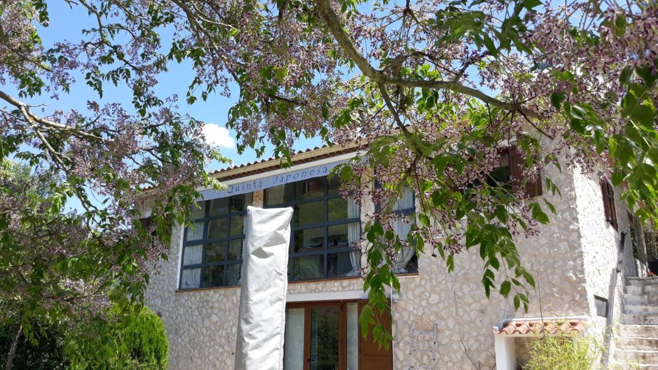 Quinta Japonesa Bed & Breakfast Carvalhal Bemfeito Luaran gambar