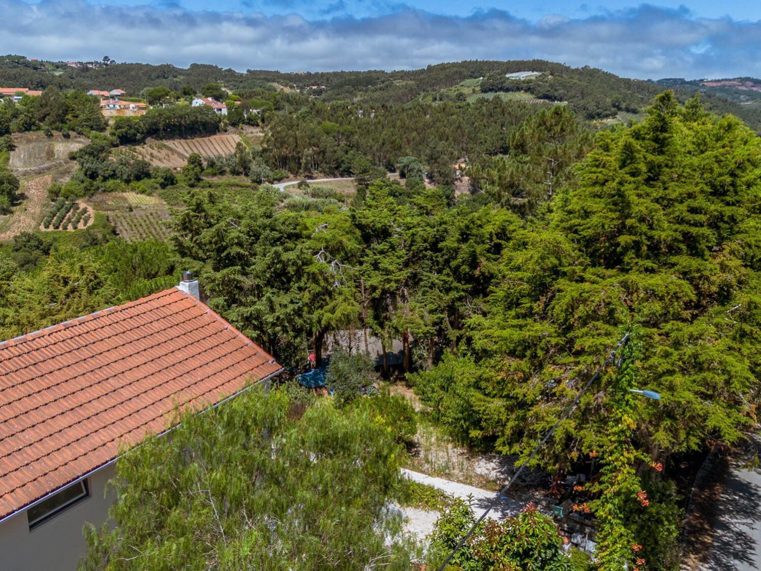 Quinta Japonesa Bed & Breakfast Carvalhal Bemfeito Luaran gambar
