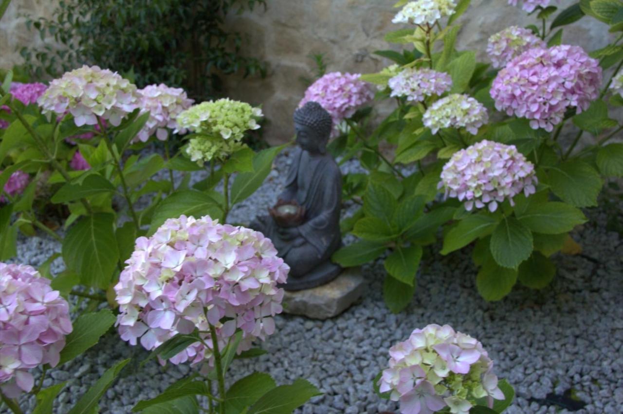 Quinta Japonesa Bed & Breakfast Carvalhal Bemfeito Luaran gambar